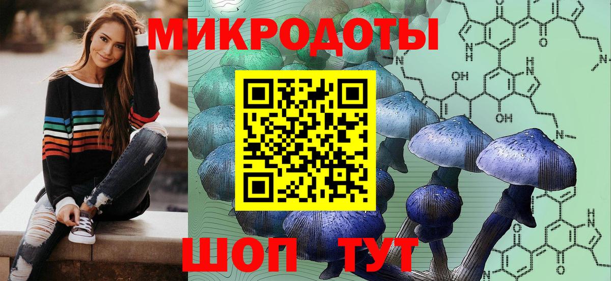 Псилоцибиновые грибы Cubensis Новочебоксарск