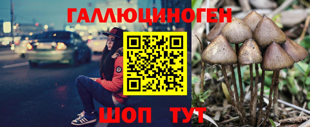 цена наркотик  Вход с VPN  Новочебоксарск  Галлюциногенные грибы GOLDEN TEACHER 